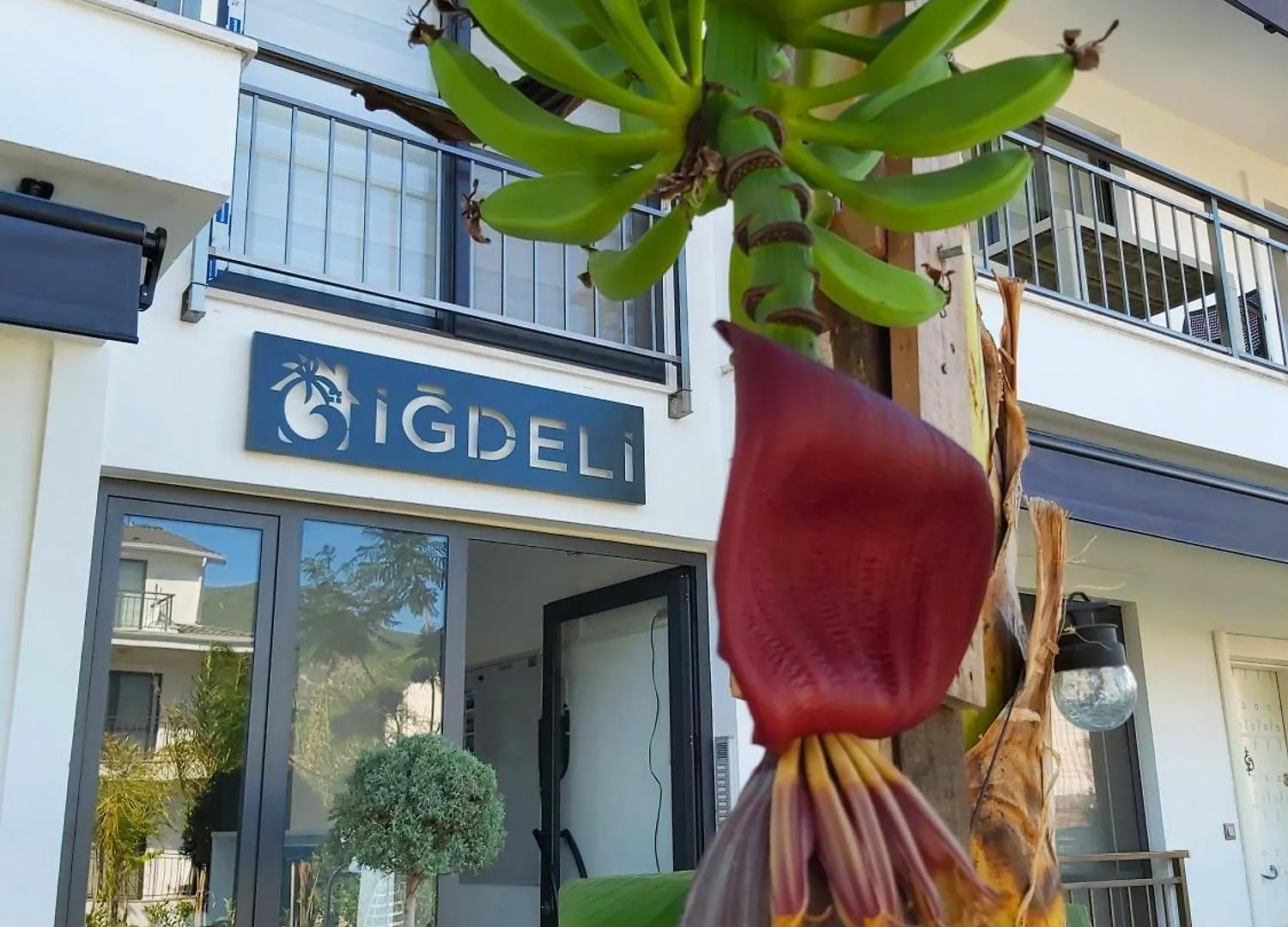 Aparthotel Igdeli Aparts à Fethiye